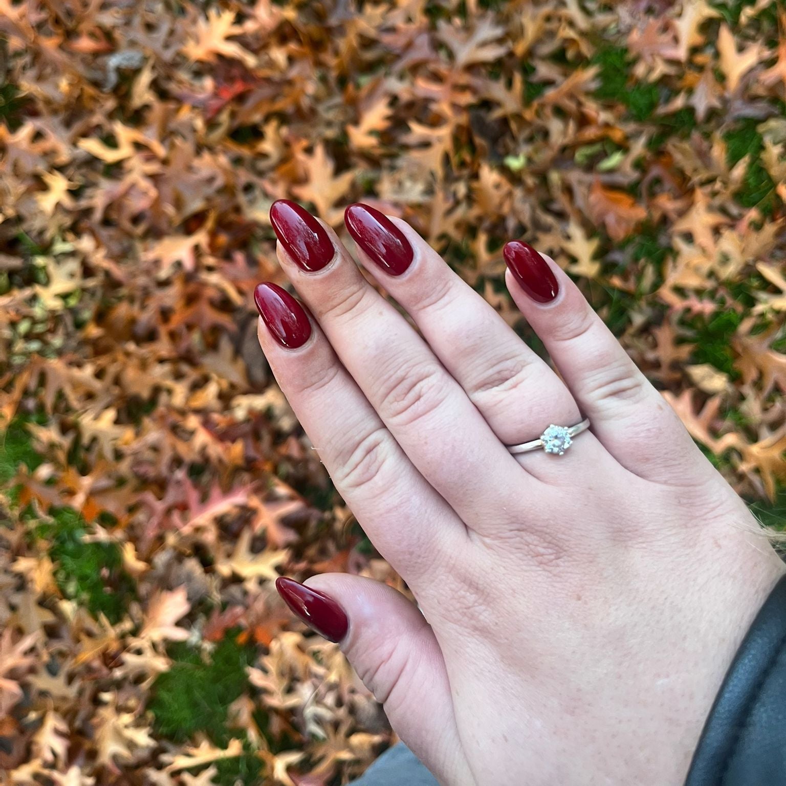 Burgundy Red Gellak